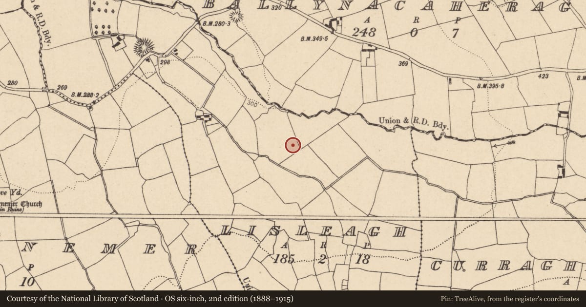Ordnance Survey six-inch map, 2nd edition (1888–1915) covering the location of Fulacht fia, Lisleagh, County Cork, with a pin at the register's coordinates