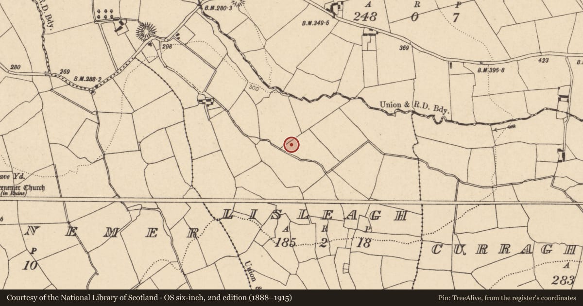 Ordnance Survey six-inch map, 2nd edition (1888–1915) covering the location of Fulacht fia, Lisleagh, County Cork, with a pin at the register's coordinates