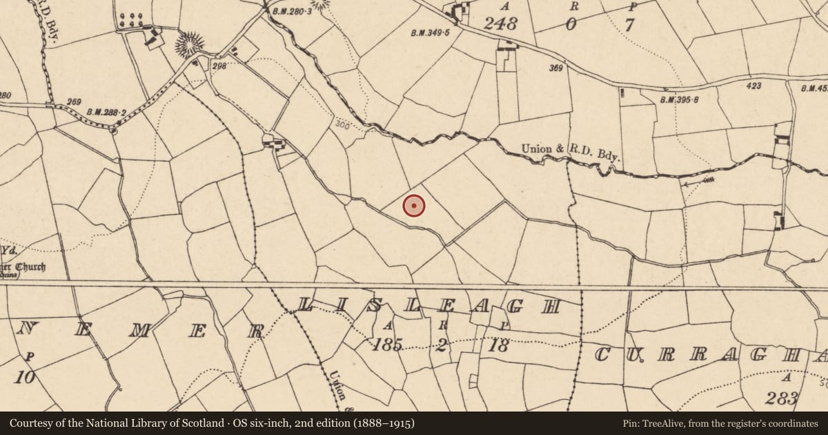 Ordnance Survey six-inch map, 2nd edition (1888–1915) covering the location of Fulacht fia, Lisleagh, County Cork, with a pin at the register's coordinates