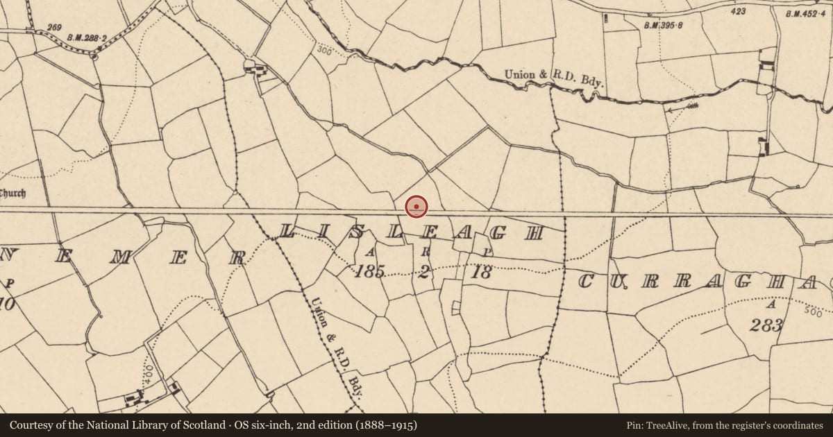 Ordnance Survey six-inch map, 2nd edition (1888–1915) covering the location of Fulacht fia, Lisleagh, County Cork, with a pin at the register's coordinates