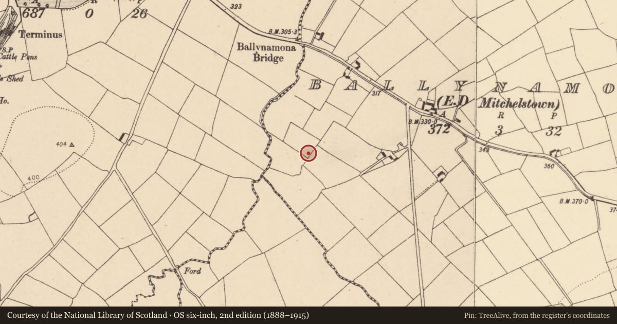 Ordnance Survey six-inch map, 2nd edition (1888–1915) covering the location of Ritual site - holy well, Ballynamona (Condons and Clongibbon By., Brigown Par.), County Cork, with a pin at the register's coordinates