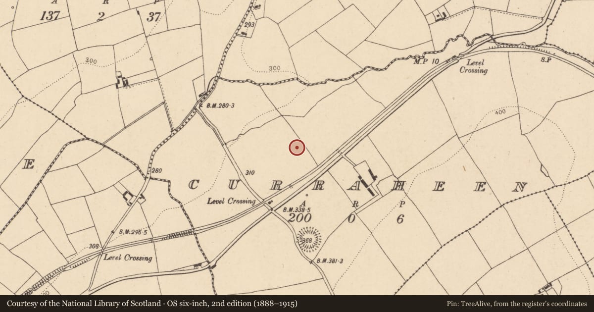 Ordnance Survey six-inch map, 2nd edition (1888–1915) covering the location of Fulacht fia, Curraheen, County Cork, with a pin at the register's coordinates