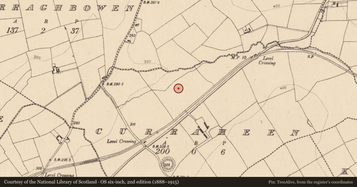 Ordnance Survey six-inch map, 2nd edition (1888–1915) covering the location of Fulacht fia, Curraheen, County Cork, with a pin at the register's coordinates
