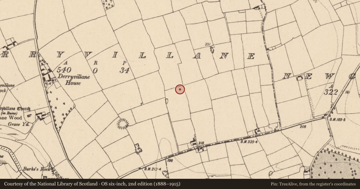 Ordnance Survey six-inch map, 2nd edition (1888–1915) covering the location of Fulacht fia, Derryvillane, County Cork, with a pin at the register's coordinates