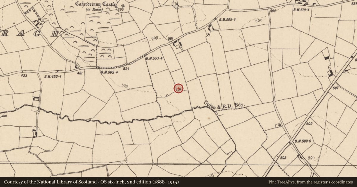 Ordnance Survey six-inch map, 2nd edition (1888–1915) covering the location of Fulacht fia, Caherdrinny (Condons and Clongibbon By., Glanworth Par.), County Cork, with a pin at the register's coordinates