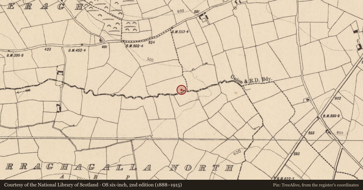Ordnance Survey six-inch map, 2nd edition (1888–1915) covering the location of Fulacht fia, Ballynacaheragh, County Cork, with a pin at the register's coordinates