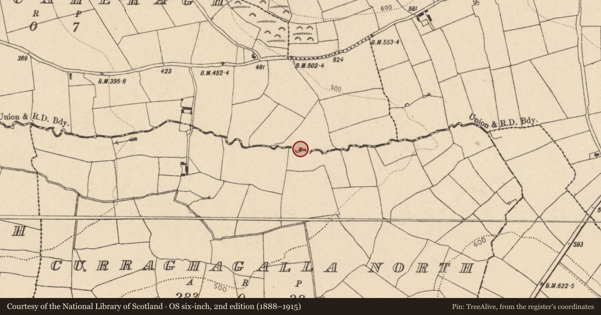Ordnance Survey six-inch map, 2nd edition (1888–1915) covering the location of Fulacht fia, Ballynacaheragh, County Cork, with a pin at the register's coordinates