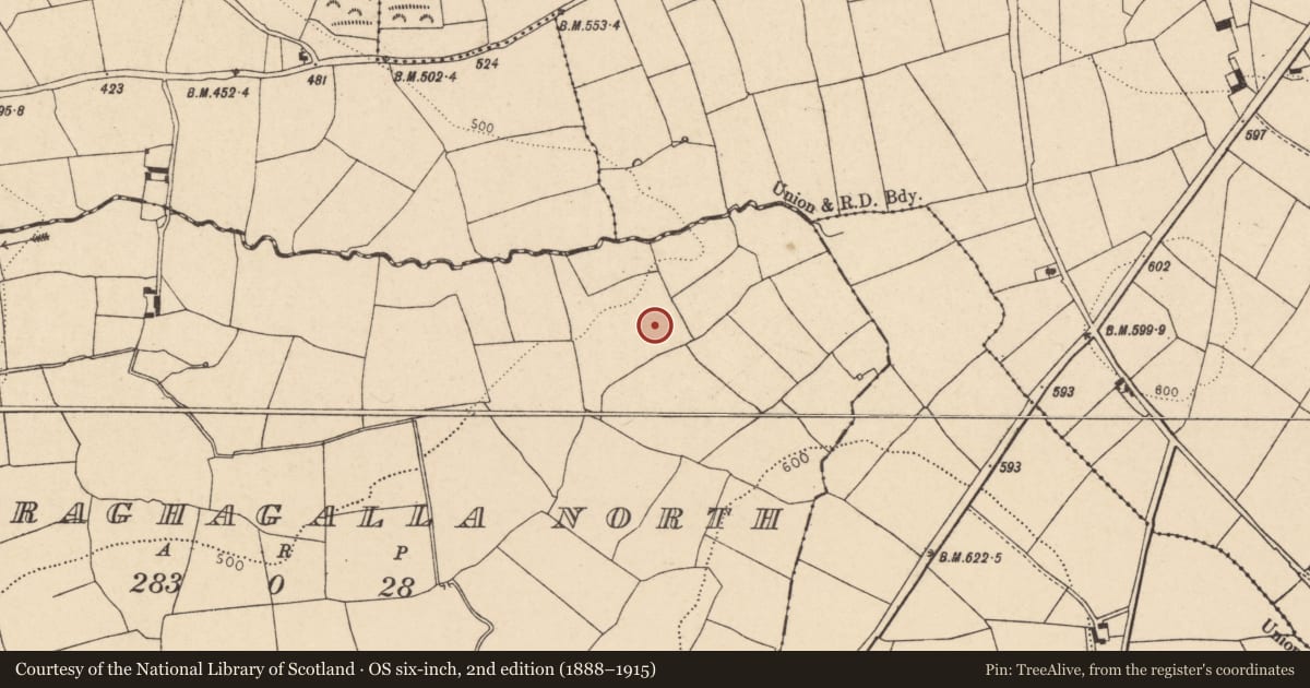 Ordnance Survey six-inch map, 2nd edition (1888–1915) covering the location of Fulacht fia, Curraghagalla North, County Cork, with a pin at the register's coordinates