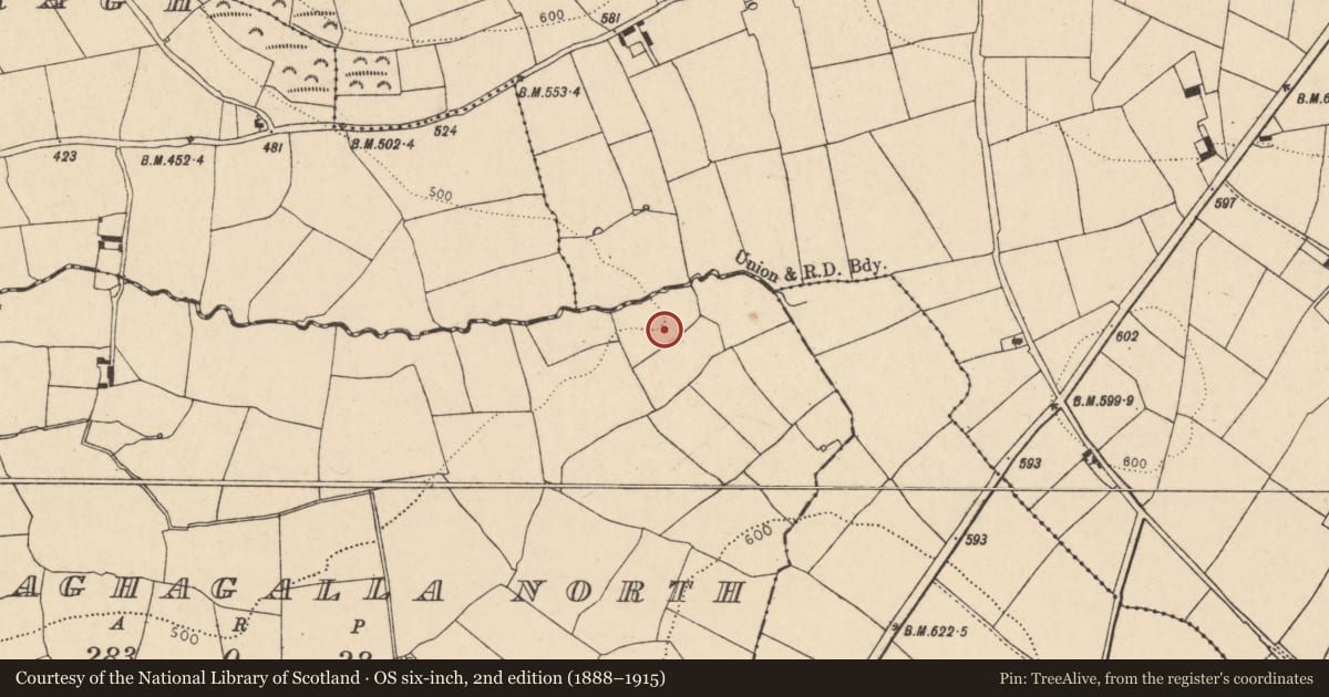 Ordnance Survey six-inch map, 2nd edition (1888–1915) covering the location of Fulacht fia, Curraghagalla North, County Cork, with a pin at the register's coordinates