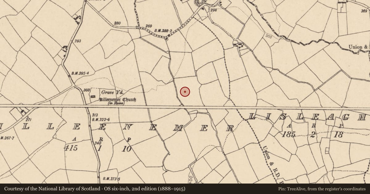 Ordnance Survey six-inch map, 2nd edition (1888–1915) covering the location of Fulacht fia, Killeenemer, County Cork, with a pin at the register's coordinates