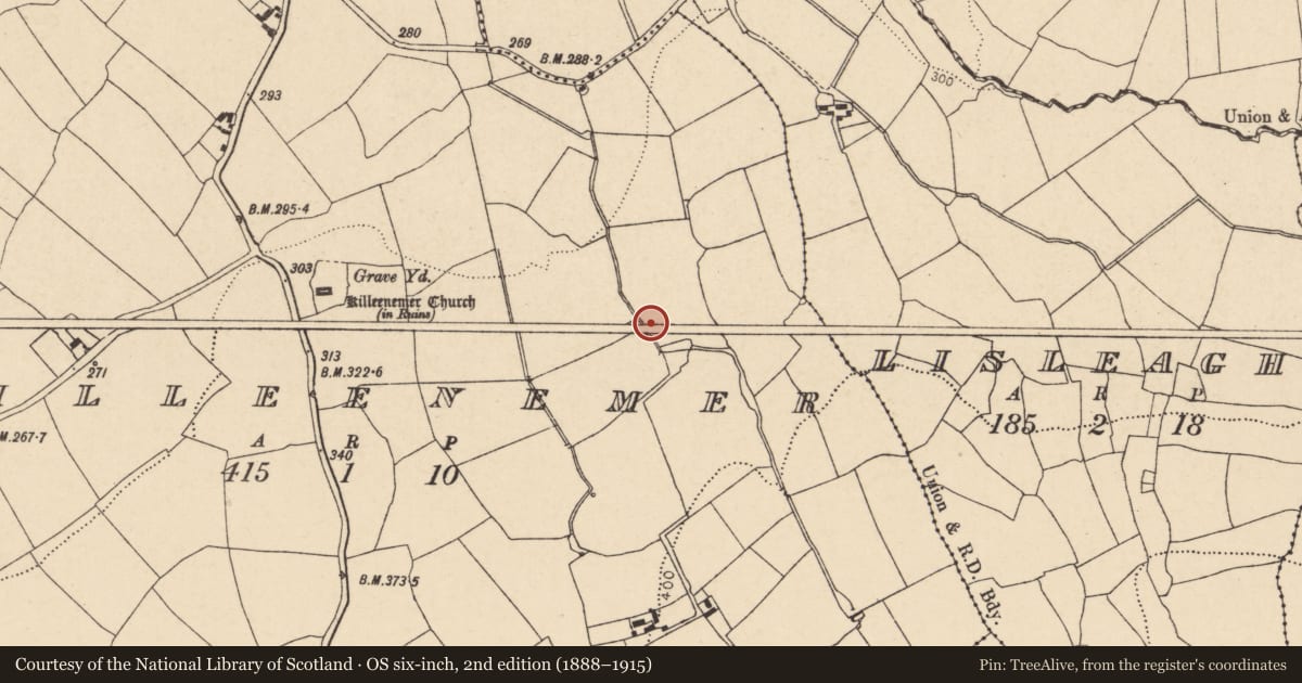 Ordnance Survey six-inch map, 2nd edition (1888–1915) covering the location of Fulacht fia, Killeenemer, County Cork, with a pin at the register's coordinates