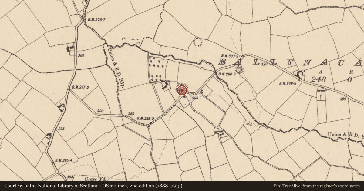 Ordnance Survey six-inch map, 2nd edition (1888–1915) covering the location of Souterrain, Lisleagh, County Cork, with a pin at the register's coordinates