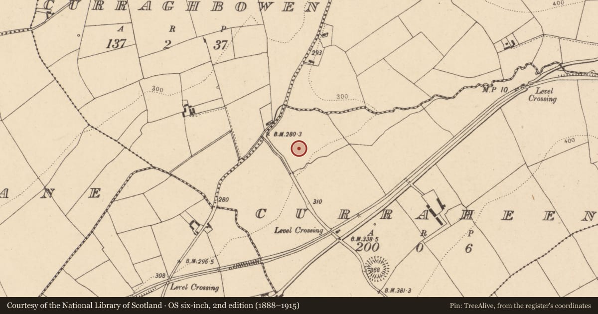 Ordnance Survey six-inch map, 2nd edition (1888–1915) covering the location of Pit-burial, Curraheen, County Cork, with a pin at the register's coordinates