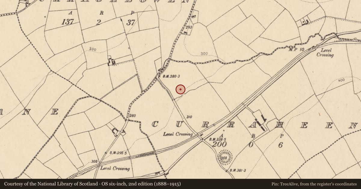 Ordnance Survey six-inch map, 2nd edition (1888–1915) covering the location of Excavation - miscellaneous, Curraheen, County Cork, with a pin at the register's coordinates
