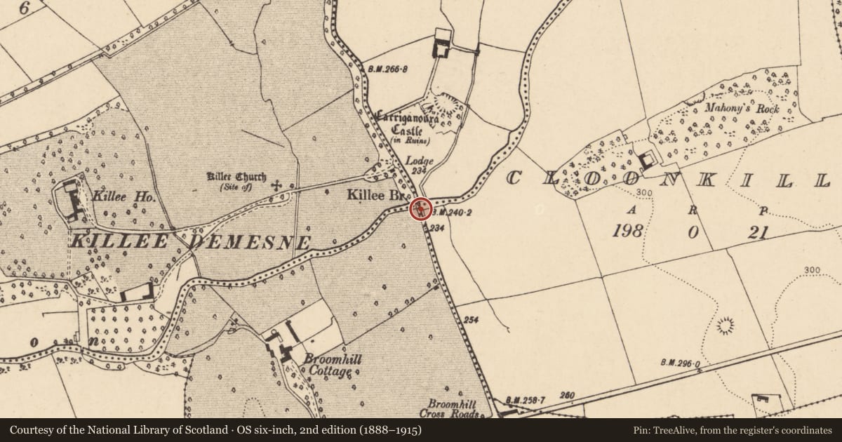 Ordnance Survey six-inch map, 2nd edition (1888–1915) covering the location of Bridge, County Cork, with a pin at the register's coordinates