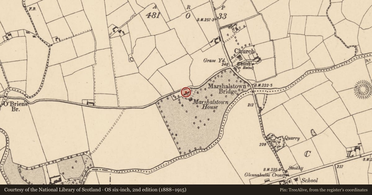 Ordnance Survey six-inch map, 2nd edition (1888–1915) covering the location of Castle - unclassified, Marshalstown, County Cork, with a pin at the register's coordinates