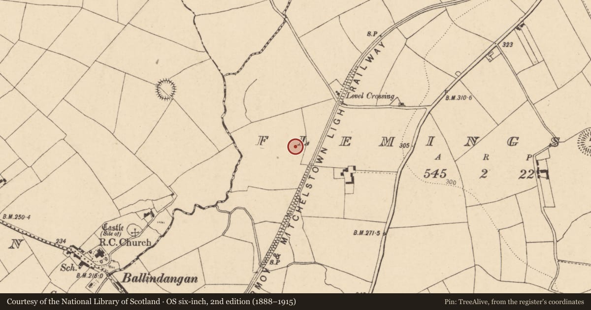 Ordnance Survey six-inch map, 2nd edition (1888–1915) covering the location of Fulacht fia, Flemingstown, County Cork, with a pin at the register's coordinates