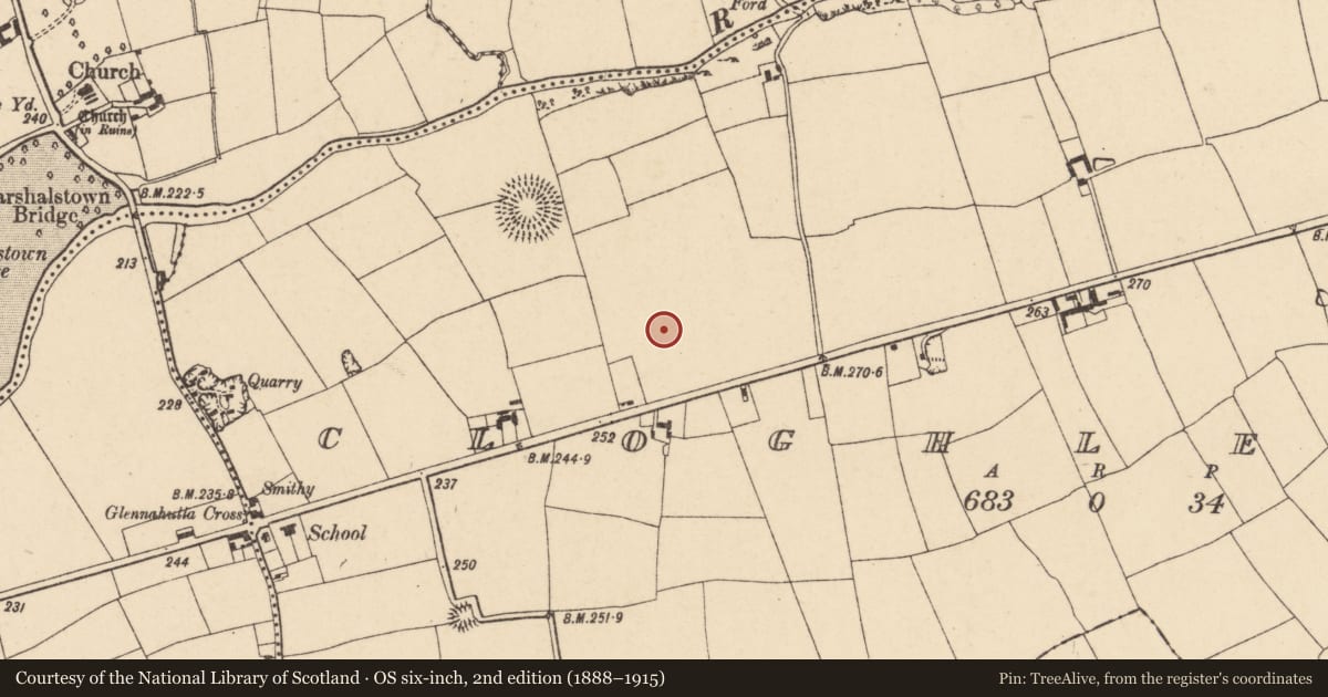 Ordnance Survey six-inch map, 2nd edition (1888–1915) covering the location of Enclosure, Cloghleafin (Condons and Clongibbon By., Kilgullane Par.), County Cork, with a pin at the register's coordinates
