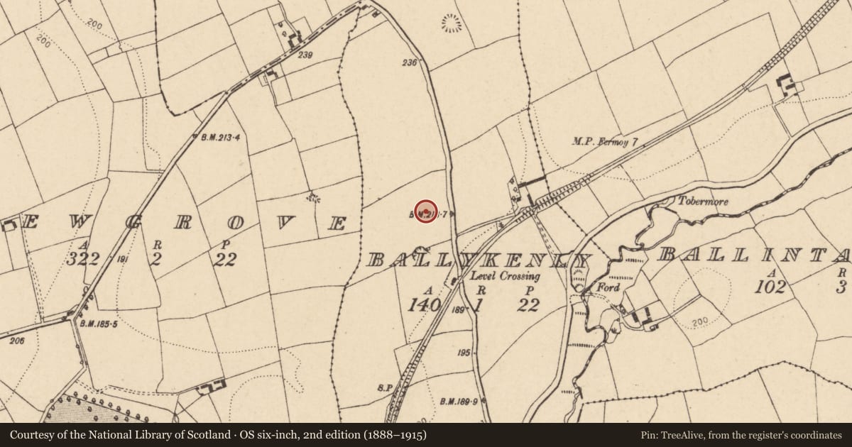Ordnance Survey six-inch map, 2nd edition (1888–1915) covering the location of Enclosure, Ballykenly, County Cork, with a pin at the register's coordinates