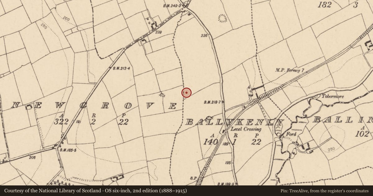 Ordnance Survey six-inch map, 2nd edition (1888–1915) covering the location of Enclosure, Ballykenly, County Cork, with a pin at the register's coordinates