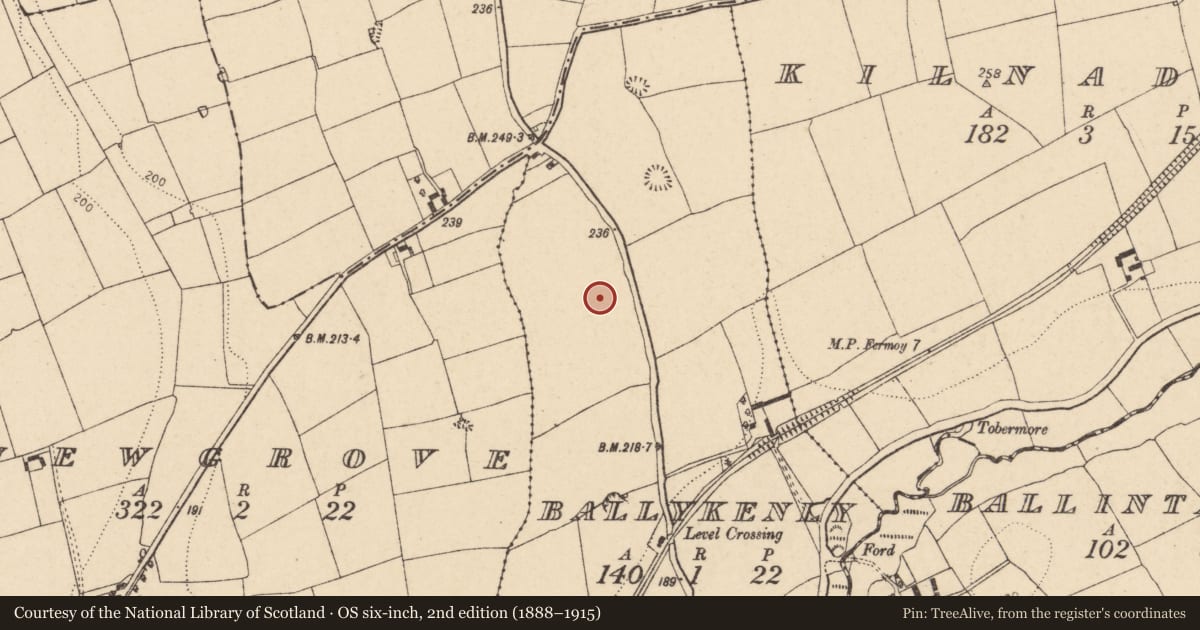 Ordnance Survey six-inch map, 2nd edition (1888–1915) covering the location of Enclosure, Ballykenly, County Cork, with a pin at the register's coordinates