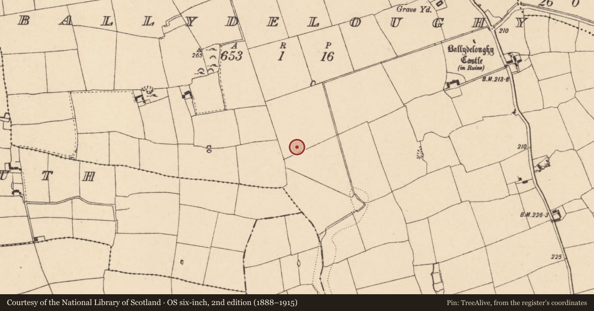 Ordnance Survey six-inch map, 2nd edition (1888–1915) covering the location of Enclosure, Ballydeloughy, County Cork, with a pin at the register's coordinates