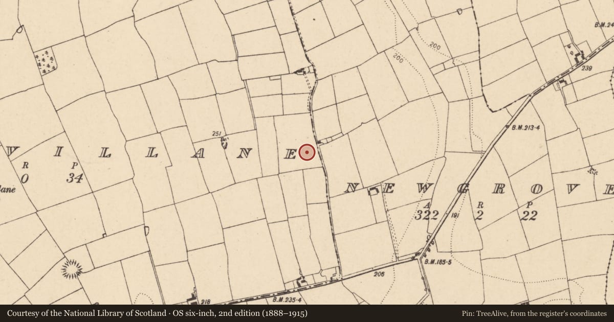 Ordnance Survey six-inch map, 2nd edition (1888–1915) covering the location of Enclosure, Derryvillane, County Cork, with a pin at the register's coordinates