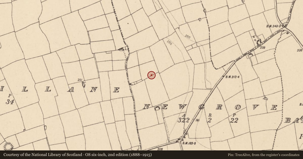 Ordnance Survey six-inch map, 2nd edition (1888–1915) covering the location of Kiln - lime, Newgrove, County Cork, with a pin at the register's coordinates