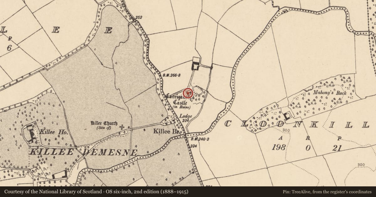 Ordnance Survey six-inch map, 2nd edition (1888–1915) covering the location of Kiln - lime, Drough, County Cork, with a pin at the register's coordinates