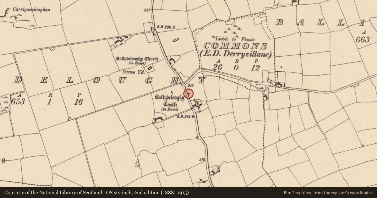 Ordnance Survey six-inch map, 2nd edition (1888–1915) covering the location of Ritual site - holy well, Ballydeloughy, County Cork, with a pin at the register's coordinates