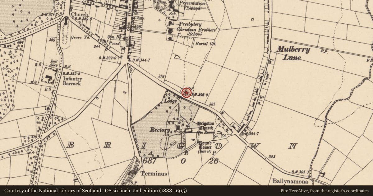 Ordnance Survey six-inch map, 2nd edition (1888–1915) covering the location of Fever hospital, Brigown, County Cork, with a pin at the register's coordinates