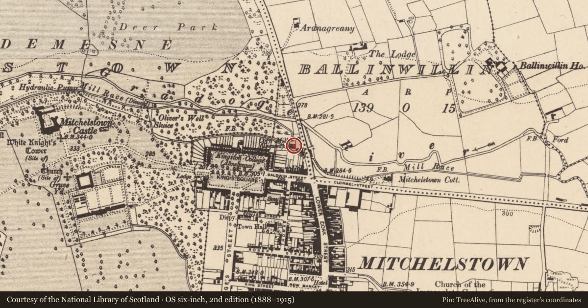 Ordnance Survey six-inch map, 2nd edition (1888–1915) covering the location of Mill - unclassified, Brigown, County Cork, with a pin at the register's coordinates