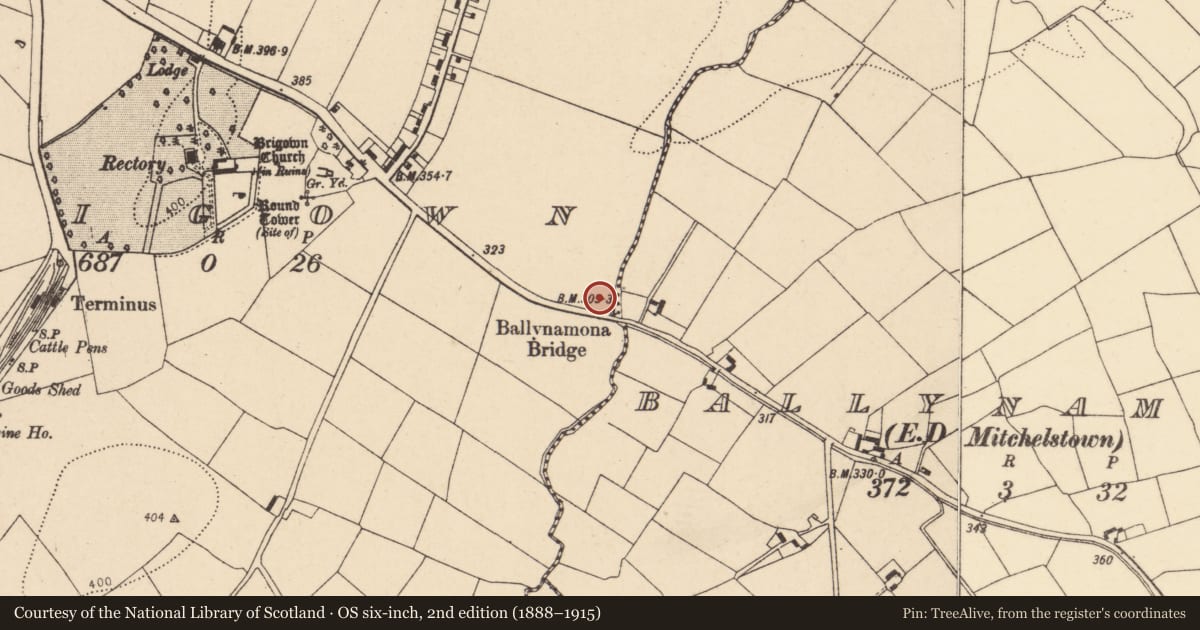 Ordnance Survey six-inch map, 2nd edition (1888–1915) covering the location of Burnt mound, Brigown, County Cork, with a pin at the register's coordinates