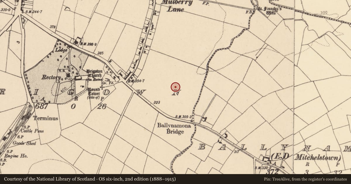 Ordnance Survey six-inch map, 2nd edition (1888–1915) covering the location of Enclosure, Brigown, County Cork, with a pin at the register's coordinates