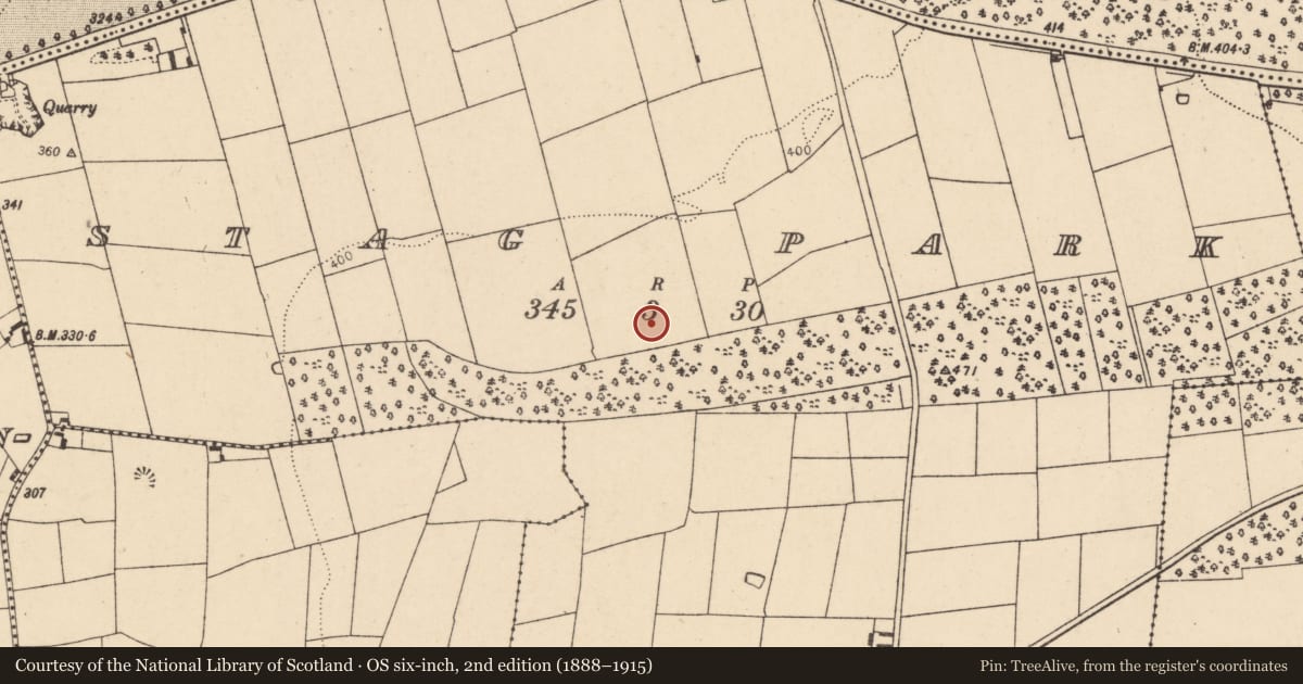 Ordnance Survey six-inch map, 2nd edition (1888–1915) covering the location of Fulacht fia, Stag Park, County Cork, with a pin at the register's coordinates