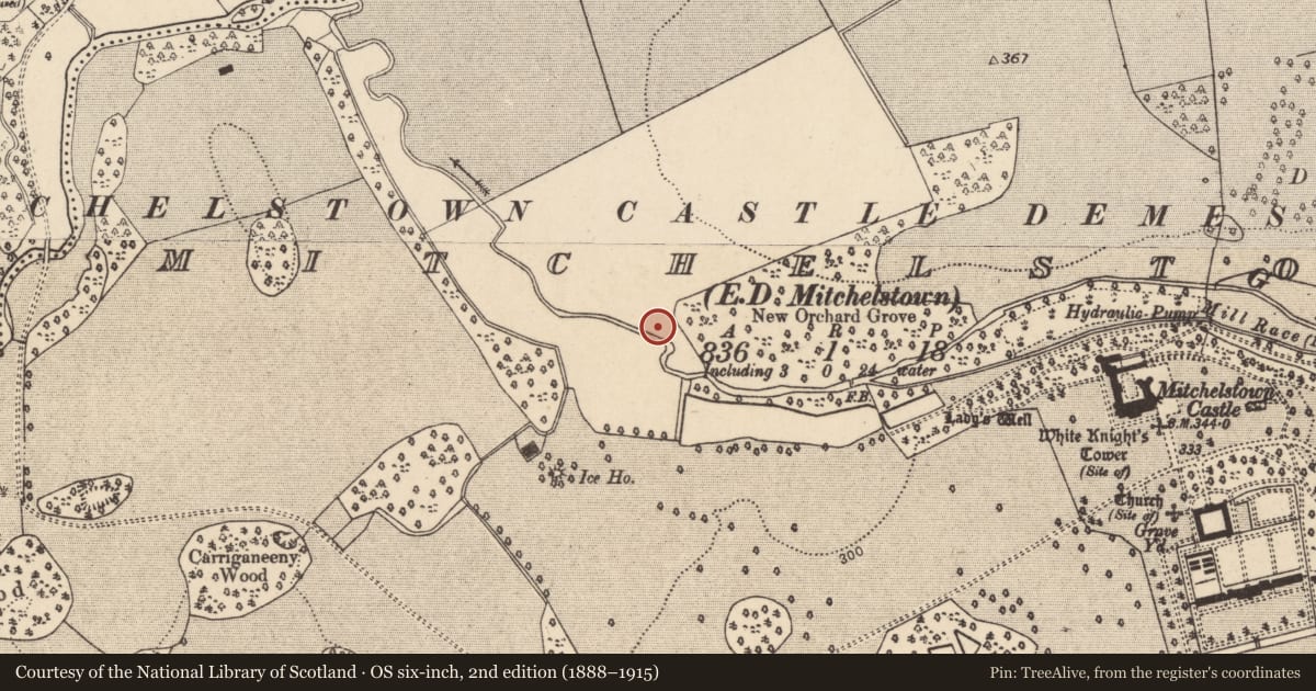 Ordnance Survey six-inch map, 2nd edition (1888–1915) covering the location of Excavation - miscellaneous, Mitchelstown, County Cork, with a pin at the register's coordinates