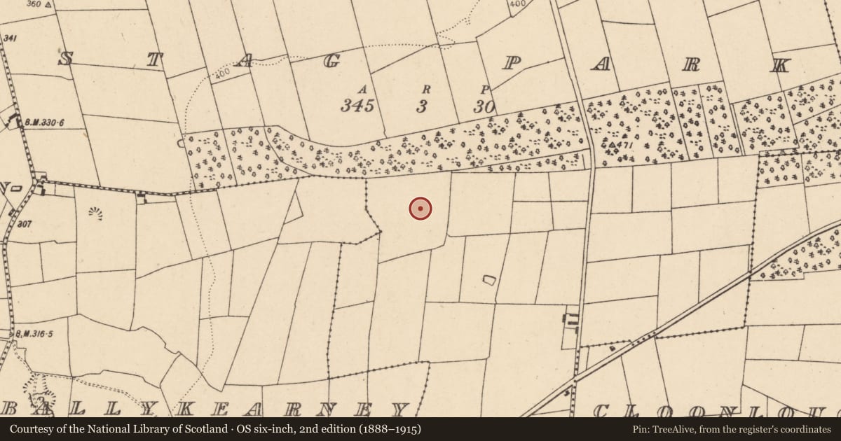 Ordnance Survey six-inch map, 2nd edition (1888–1915) covering the location of Burnt pit, Stag Park, County Cork, with a pin at the register's coordinates