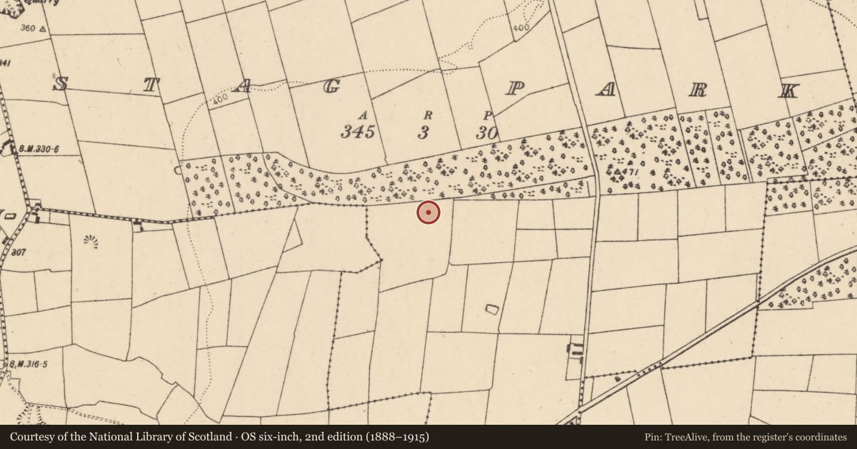 Ordnance Survey six-inch map, 2nd edition (1888–1915) covering the location of Burnt pit, Stag Park, County Cork, with a pin at the register's coordinates