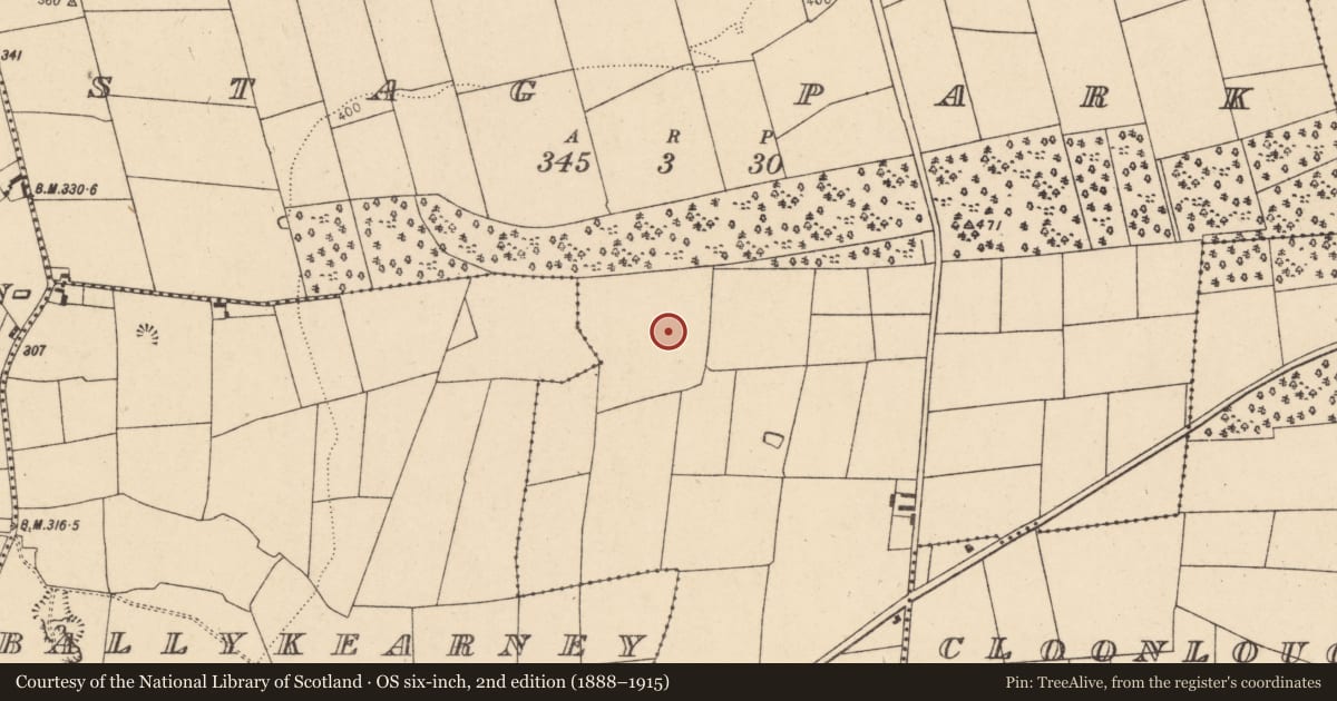 Ordnance Survey six-inch map, 2nd edition (1888–1915) covering the location of Excavation - miscellaneous, Stag Park, County Cork, with a pin at the register's coordinates