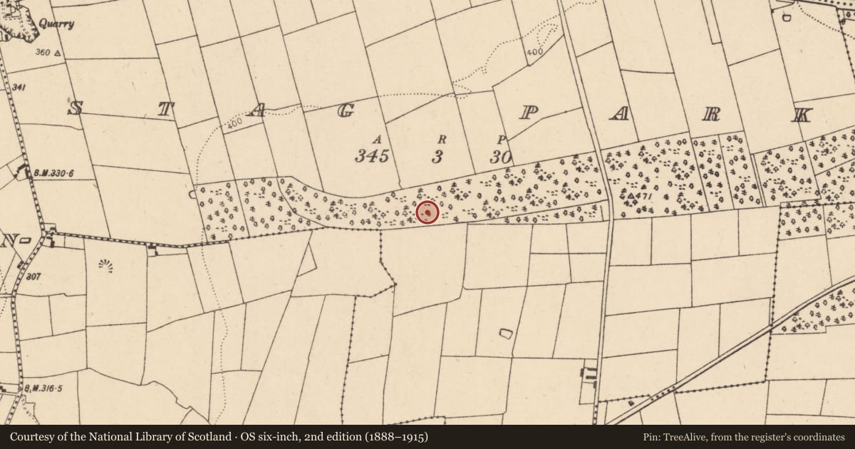 Ordnance Survey six-inch map, 2nd edition (1888–1915) covering the location of Excavation - miscellaneous, Stag Park, County Cork, with a pin at the register's coordinates