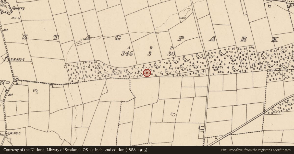Ordnance Survey six-inch map, 2nd edition (1888–1915) covering the location of Excavation - miscellaneous, Stag Park, County Cork, with a pin at the register's coordinates