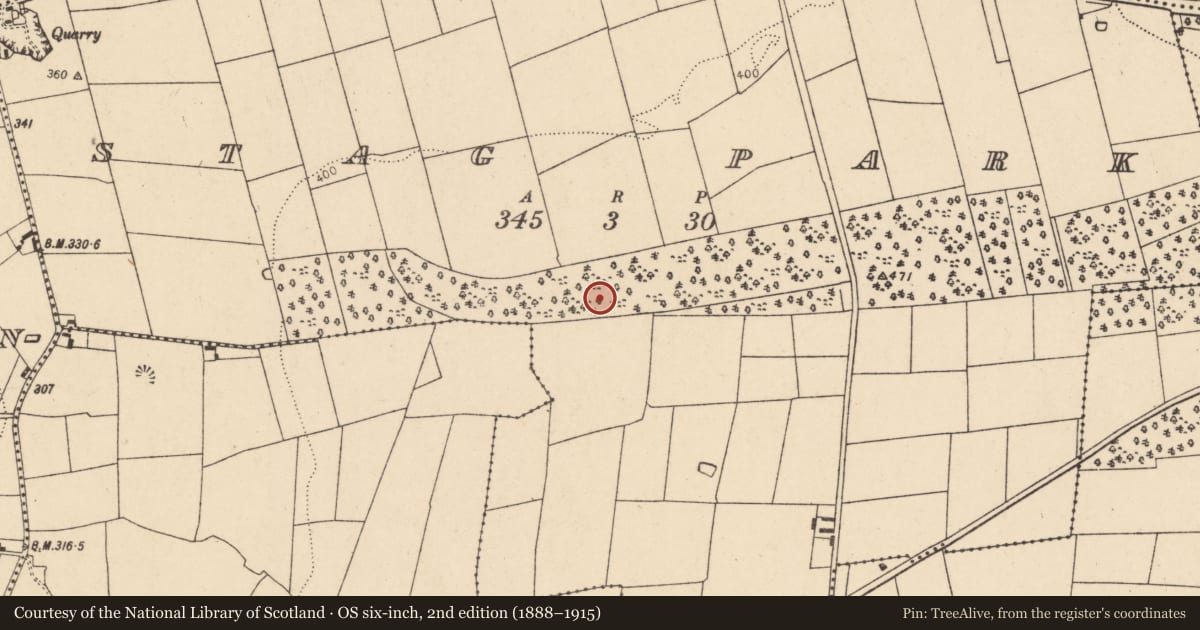 Ordnance Survey six-inch map, 2nd edition (1888–1915) covering the location of Excavation - miscellaneous, Stag Park, County Cork, with a pin at the register's coordinates