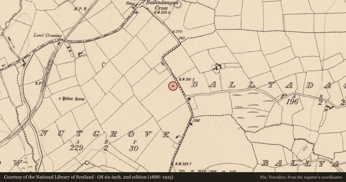 Ordnance Survey six-inch map, 2nd edition (1888–1915) covering the location of Enclosure, Nutgrove, County Cork, with a pin at the register's coordinates