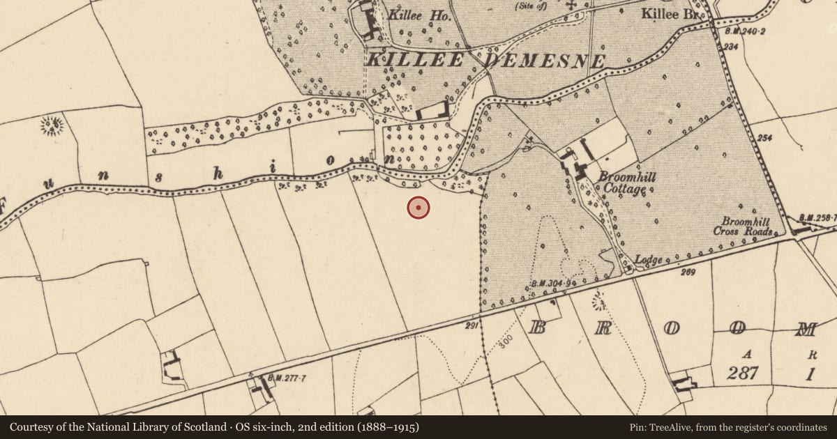 Ordnance Survey six-inch map, 2nd edition (1888–1915) covering the location of Enclosure, Cloghleafin (Condons and Clongibbon By., Kilgullane Par.), County Cork, with a pin at the register's coordinates