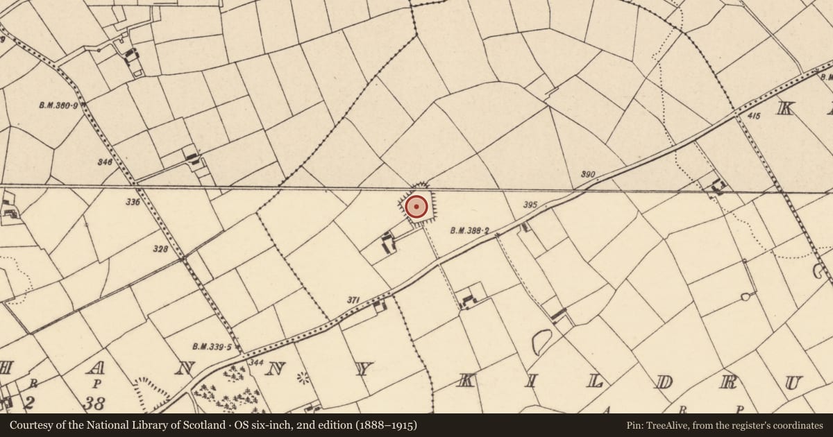 Ordnance Survey six-inch map, 2nd edition (1888–1915) covering the location of Moated site, Kildrum, County Cork, with a pin at the register's coordinates