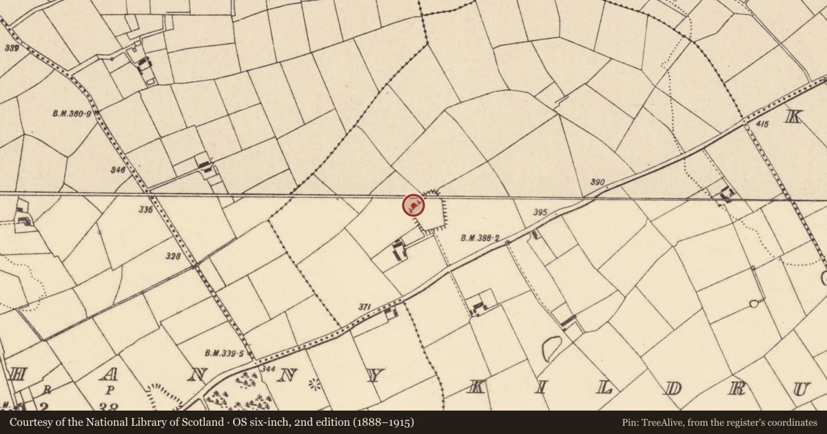 Ordnance Survey six-inch map, 2nd edition (1888–1915) covering the location of Souterrain, Kildrum, County Cork, with a pin at the register's coordinates