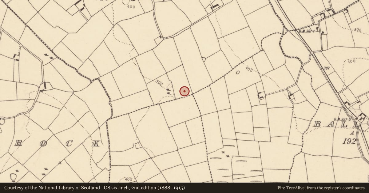 Ordnance Survey six-inch map, 2nd edition (1888–1915) covering the location of Barrow - ring-barrow, Ardglare, County Cork, with a pin at the register's coordinates