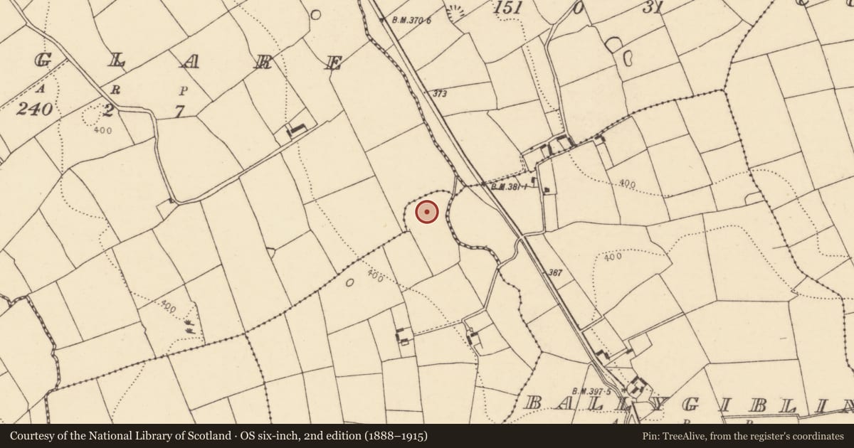 Ordnance Survey six-inch map, 2nd edition (1888–1915) covering the location of Anomalous stone group, Curraghavoe, County Cork, with a pin at the register's coordinates