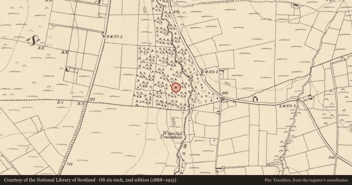 Ordnance Survey six-inch map, 2nd edition (1888–1915) covering the location of Cairn - unclassified, Curraghavoe, County Cork, with a pin at the register's coordinates