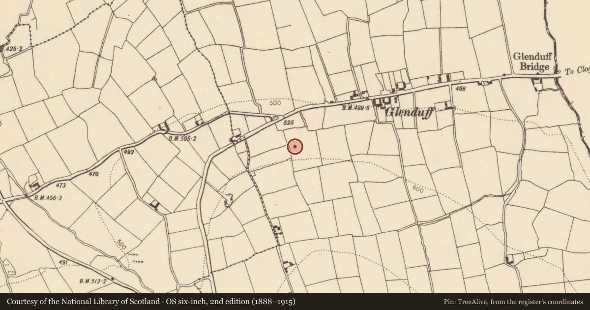 Ordnance Survey six-inch map, 2nd edition (1888–1915) covering the location of Ringfort - rath, Glenduff, County Cork, with a pin at the register's coordinates